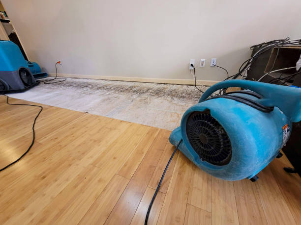 Professional Structural Drying technician working in Sterling, MA